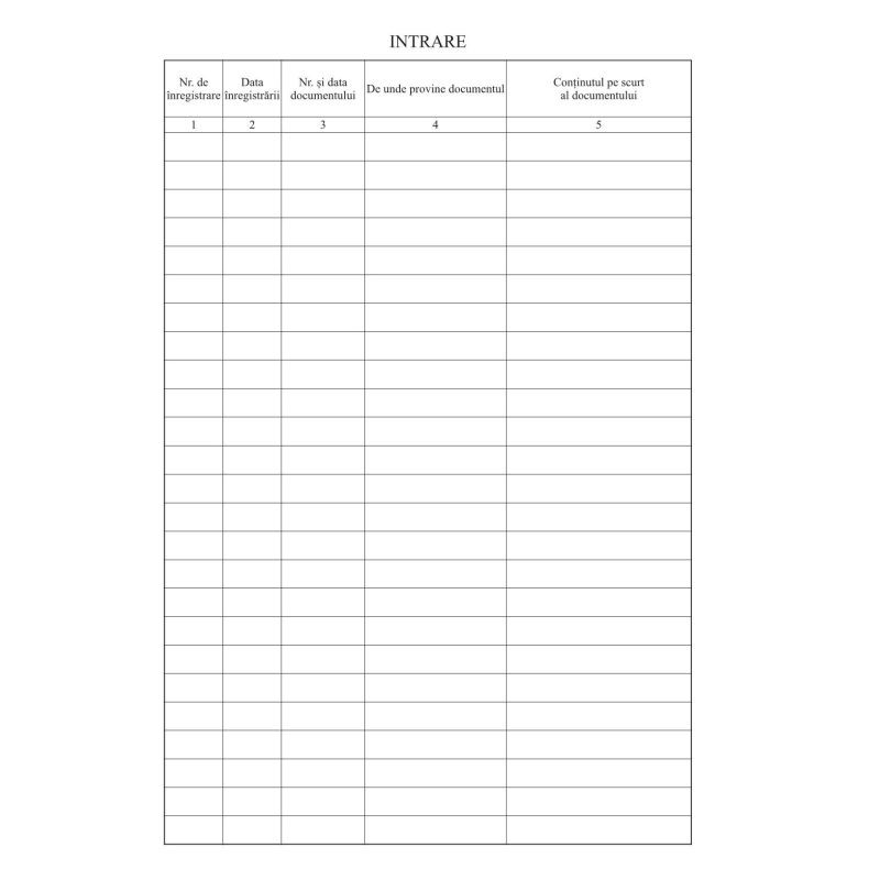 Registru intrare iesire, format A4, vertical, cartonat - imagine 3